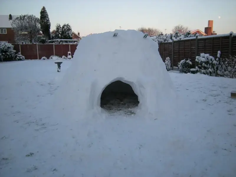 Igloo1.webp