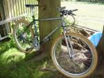'93 Cinder Cone