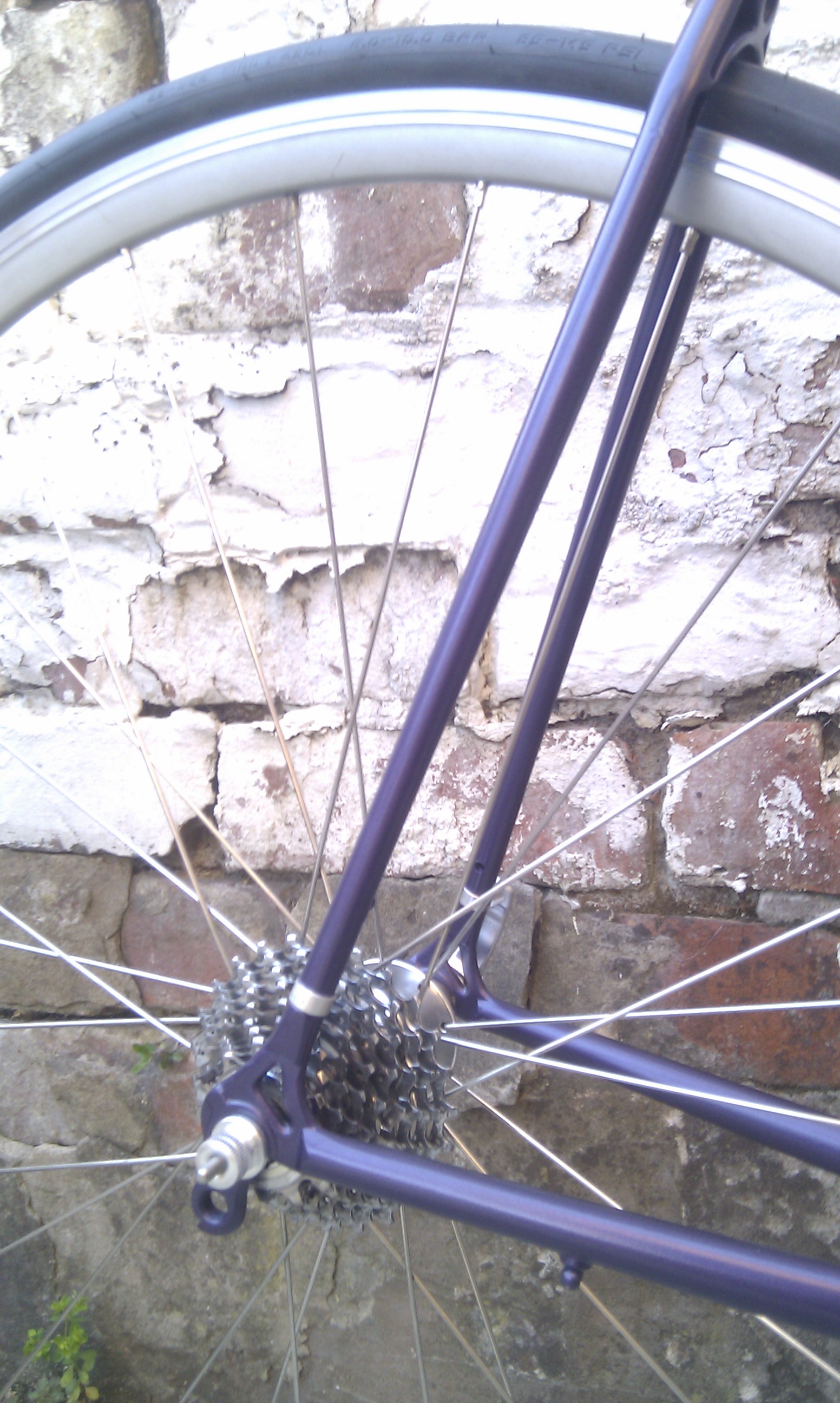 IMAG0470
