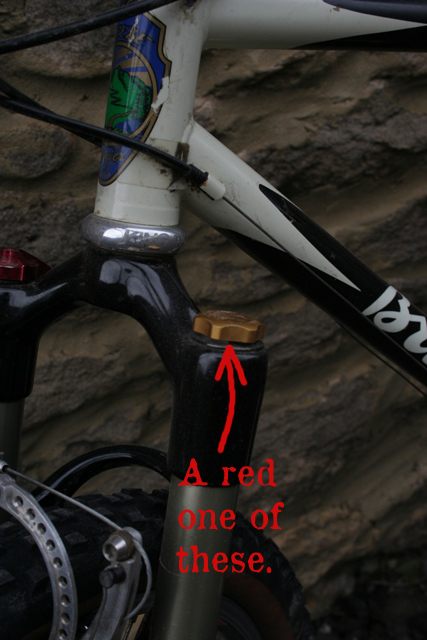 Fork cap
