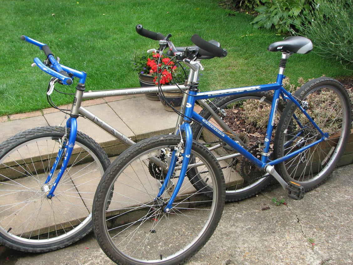 bikes