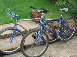 bikes