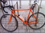 orangedynamo