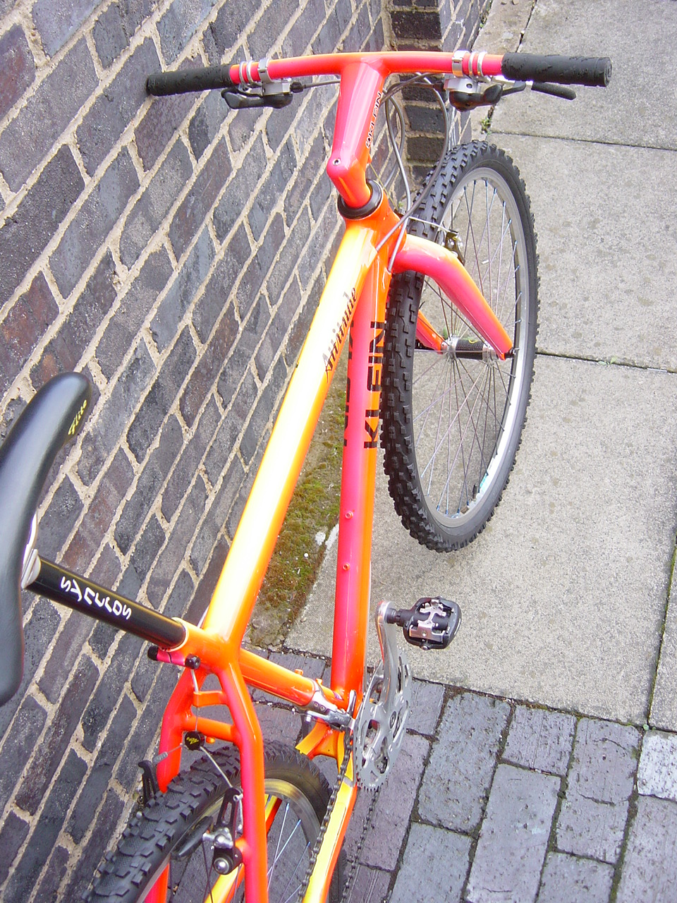 DSC05559