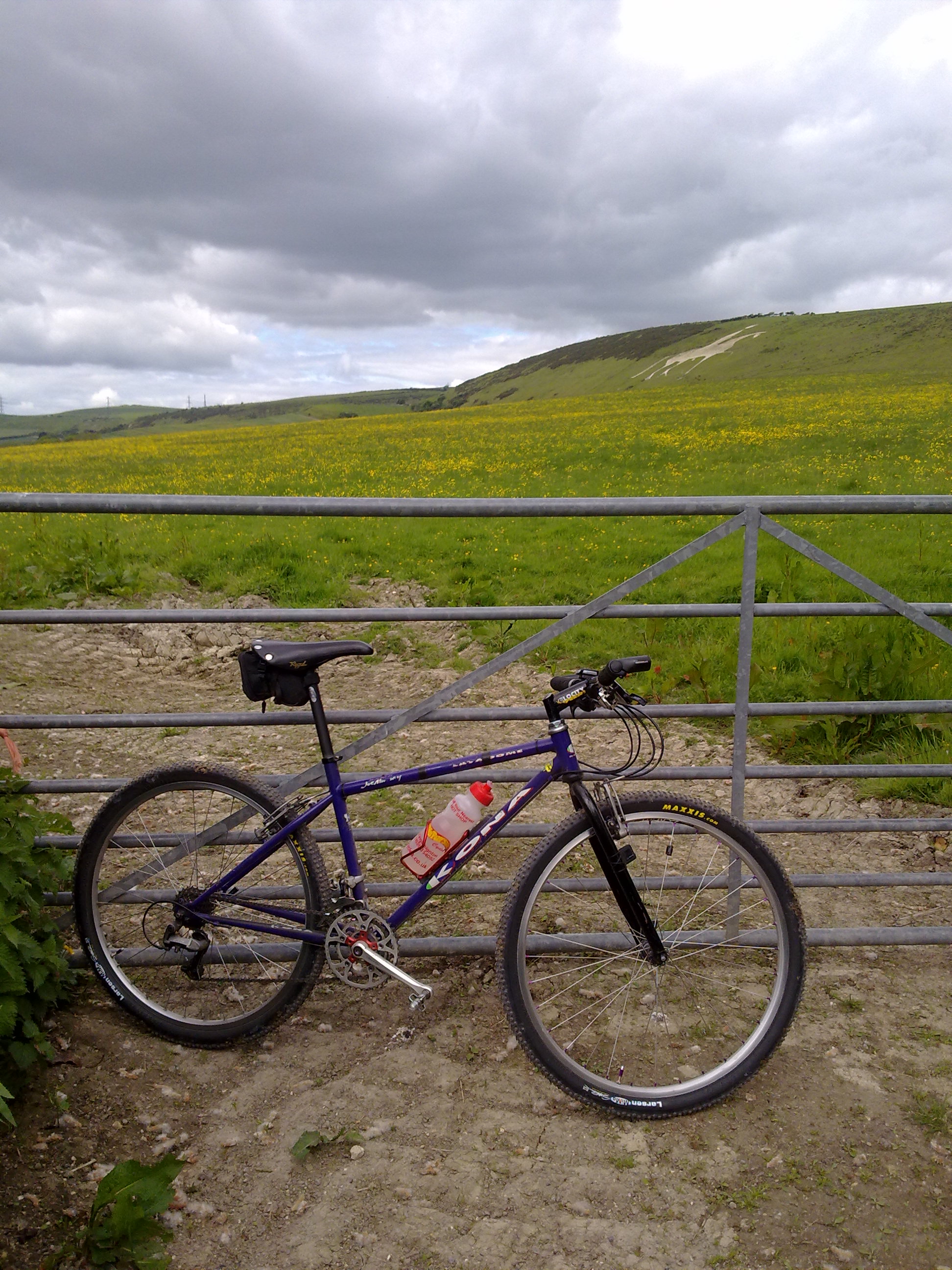 ride a purple kona...