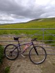 ride a purple kona...