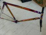 colnago decor
