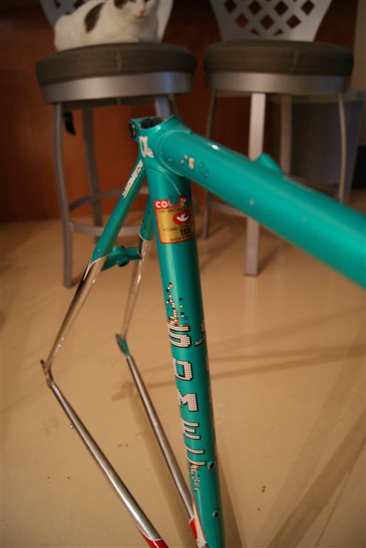 DSC02206 (Medium)