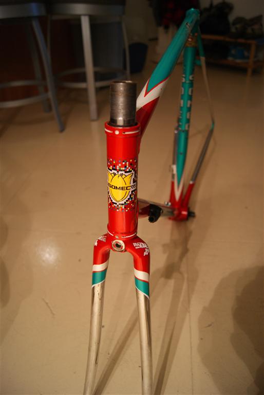 DSC02207 (Medium)