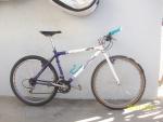 Cuda A2R Imagen 013