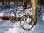 11th Feb 2012 Litespeed in the Snow 2