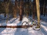 11th Feb 2012 Litespeed in the Snow 3