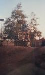 IMAG0194