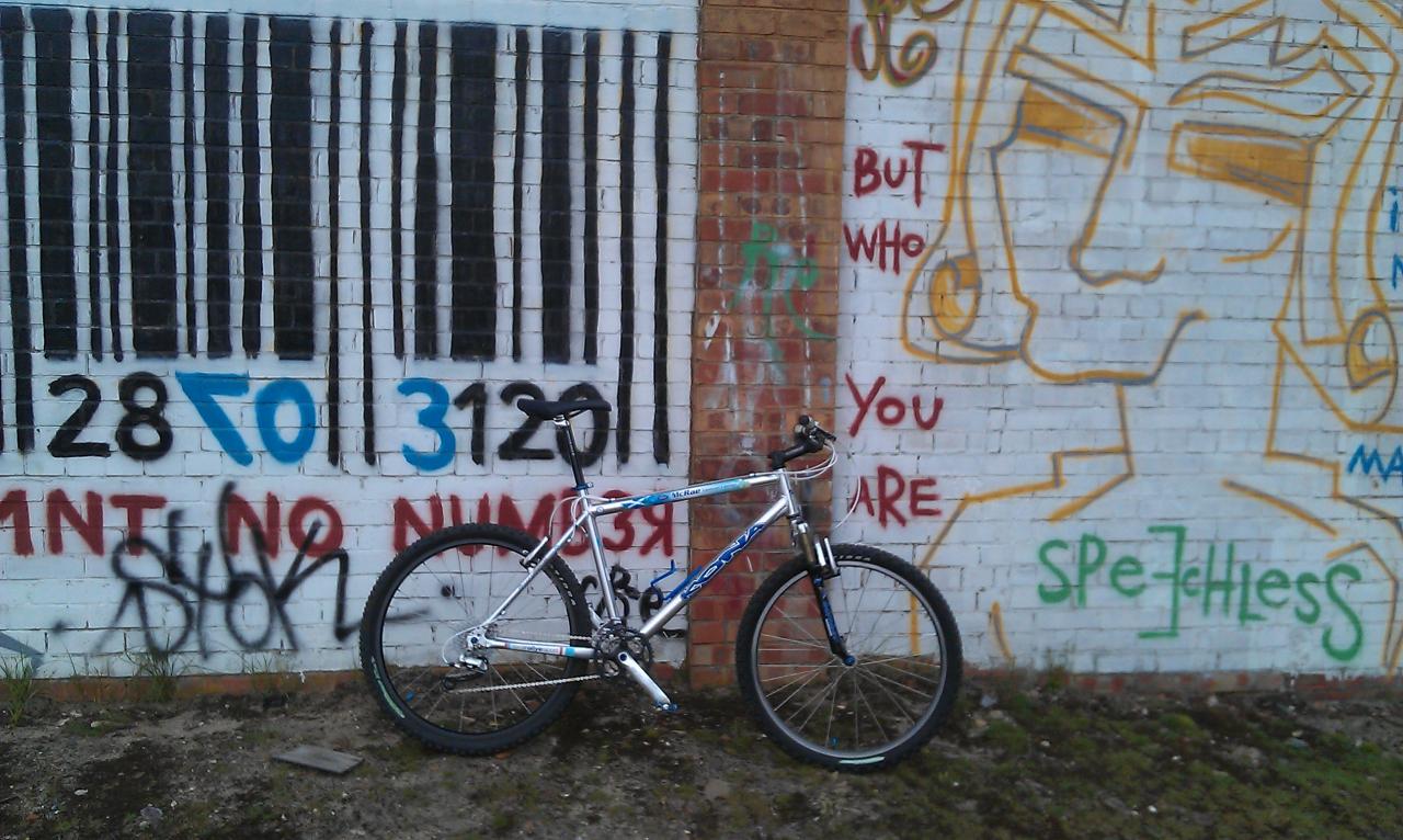 IMAG0250