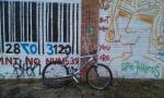 IMAG0250