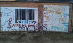 IMAG0249