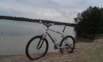 IMAG0248