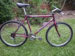 Coach Jeff's Red Shogun Trail Breaker