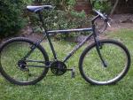 retro bikes 011