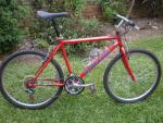 Coach Jeff's Mongoose Dx 2.0