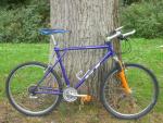 1999 GT Tequesta
