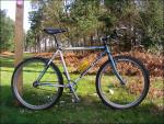 1990-DB-Ascent-01