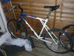 1999 GT Outpost Trail