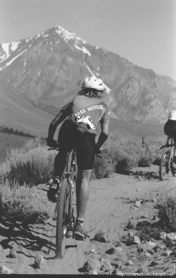 Cindy Whitehead