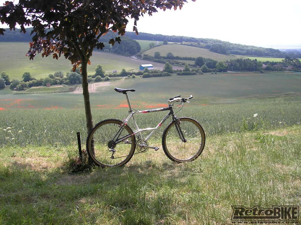 cromega007