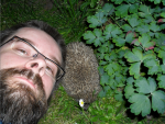 Hedgehog