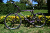 Tequesta 6
