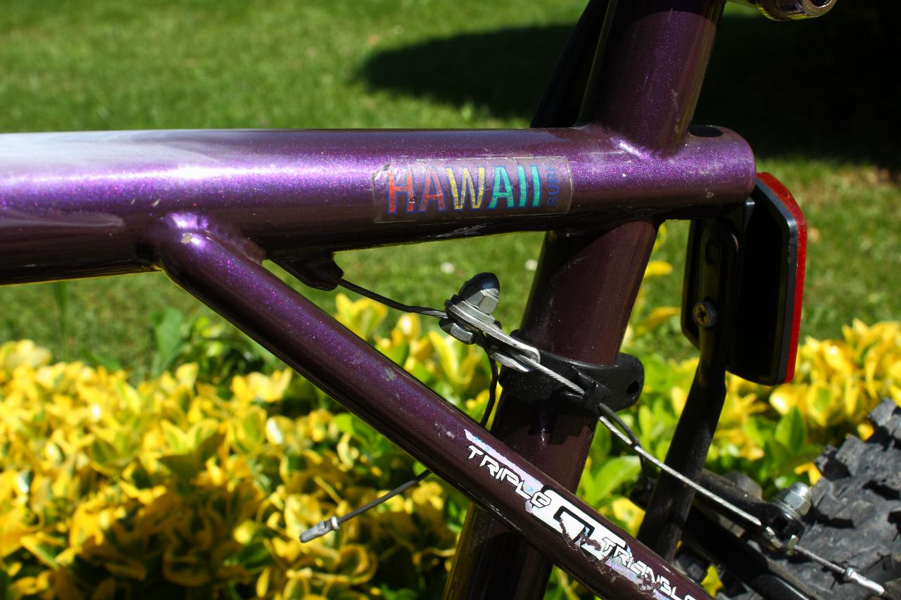 Tequesta 10