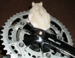 LX rodent