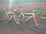 Orange Ali pics