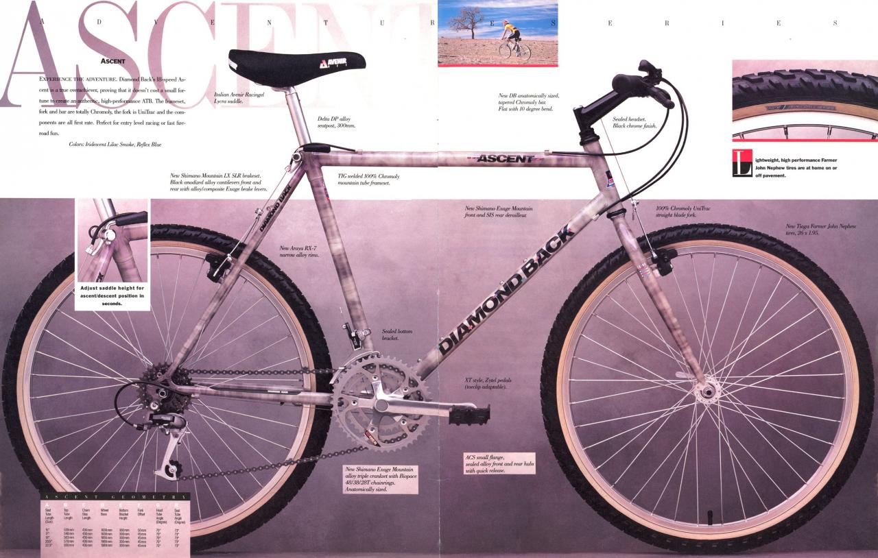 89 DB Brochure Ascent