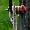 Surly