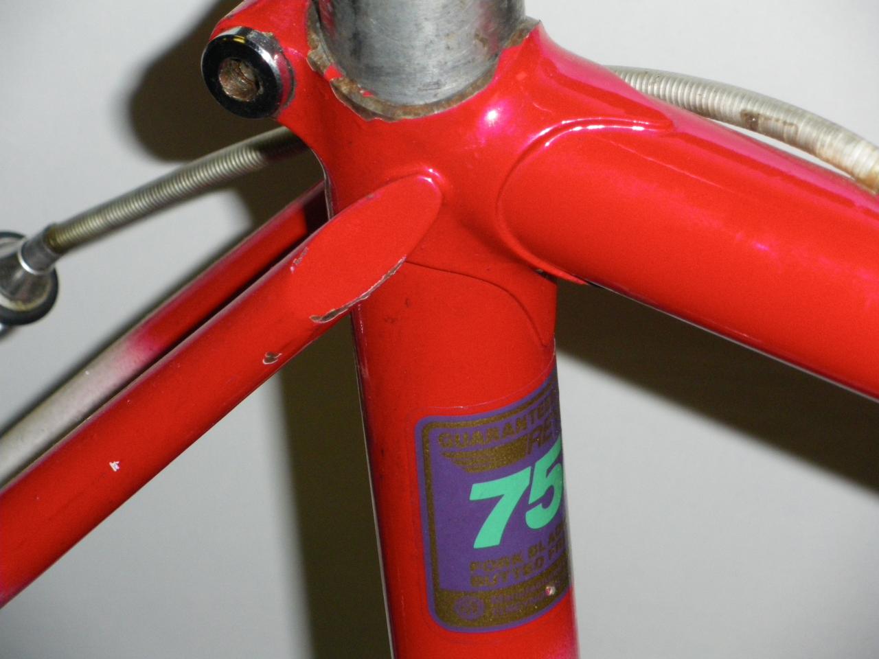 IMGP0308
