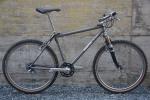moots rigor mootis