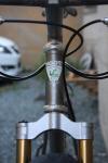 moots rigormootis 6