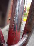 IMG_20120815_071314_scaled
