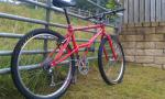 1993 Saracen Race Elite