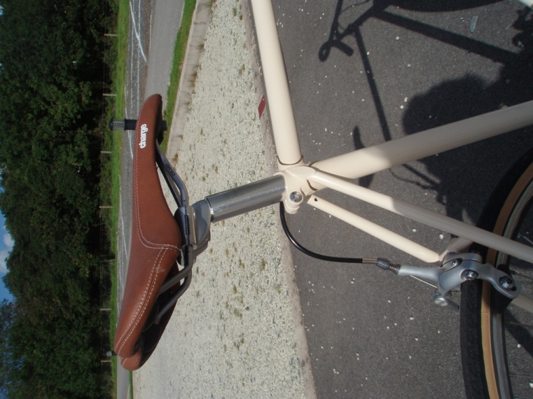 Raleigh Single Speed 5