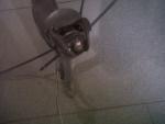IMG01158-20120722-1618