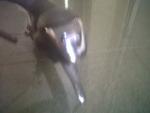 IMG01159-20120722-1618