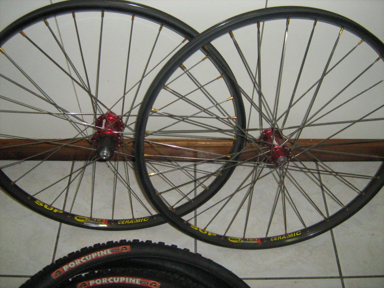 rotor and ringal 010