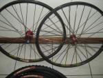 rotor and ringal 010