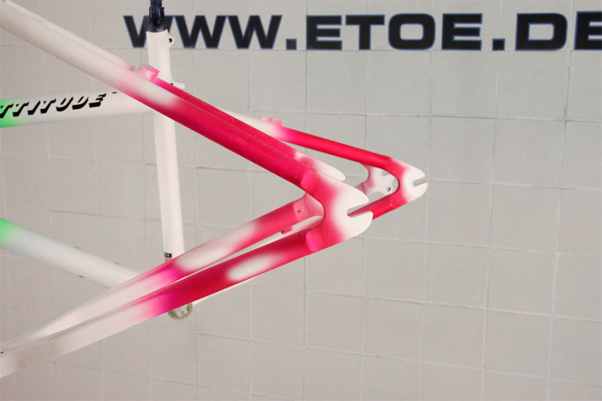 Klein_Attitude_ETOE_Repair3