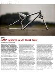 AMP/Horst Link