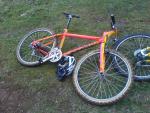 cannock_01