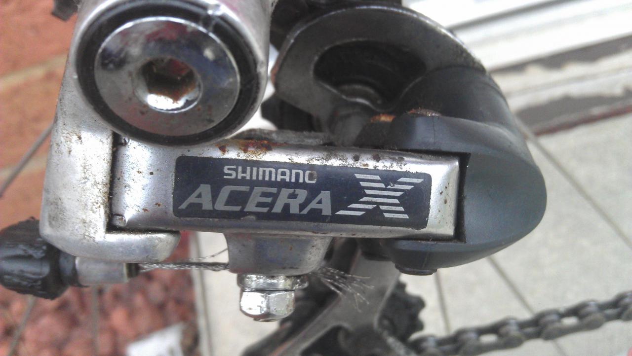 IMAG0498
